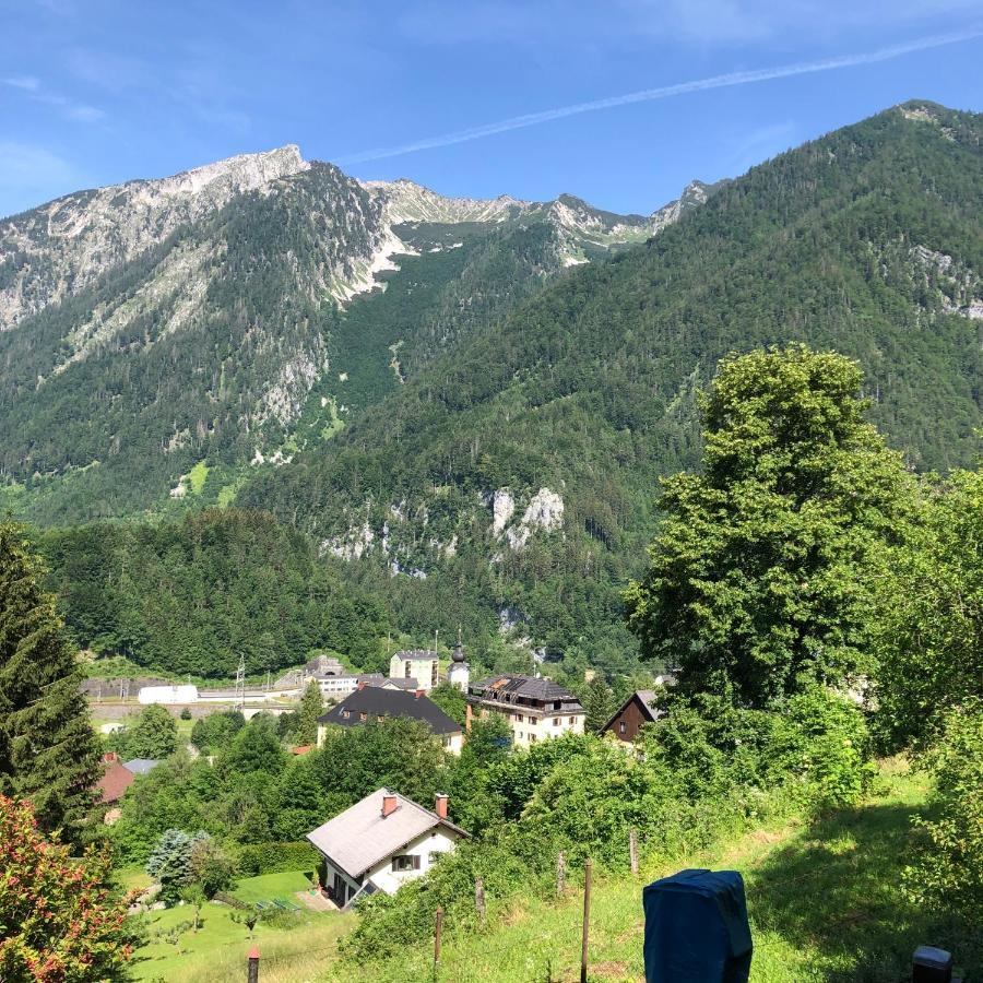 Ferienwohnung Im Nationalpark Gesaeuse Hieflau المظهر الخارجي الصورة