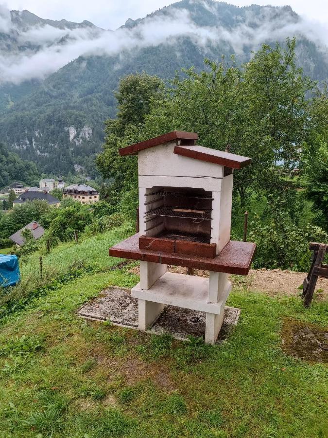 Ferienwohnung Im Nationalpark Gesaeuse Hieflau المظهر الخارجي الصورة
